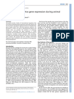 The Regulation of Hox Gene Expression During Animal Development