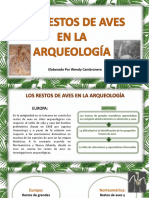 Exposición - Restos de Aves en La Arqueología PDF
