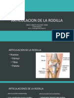 3-Artic Rodilla