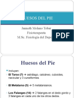 5 Huesos Pie