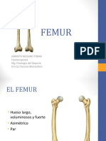 2-Huesos - Femur y Patela