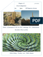 Life Sustaining processes & phenomena Chapter 4.2 A Desert Biome - Hot Dry