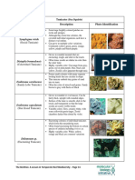 Organism Identification Guide For Ocean Benthos Activity