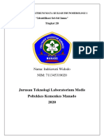 Identifikasi Sel-Sel Imin-Indriiiiii PDF