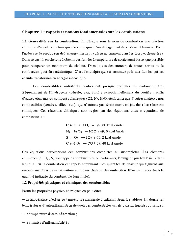 Notions fondamentales sur la combustion | PDF | Combustible | La combustion