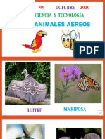 ANIMALES AEREOS.pptx