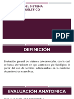 Semiólogía del sistema musculoesquelético: evaluación anatómica y técnicas