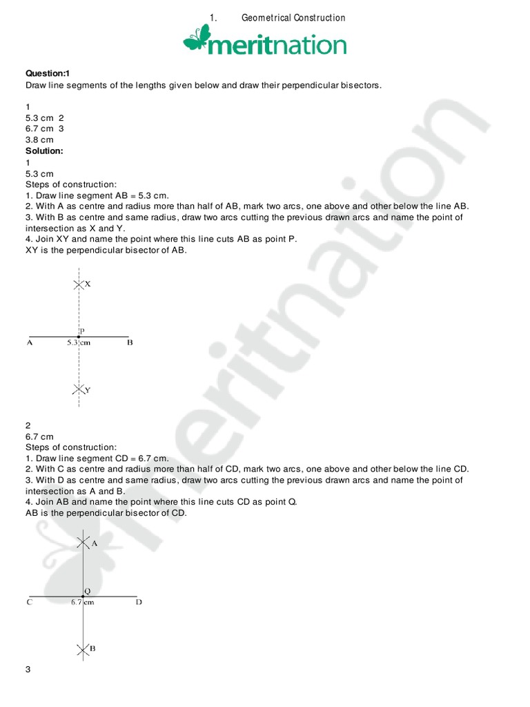 Geometric Constructions of Triangles | PDF | Triangle | Angle