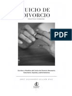 Practica Forense del Juicio de Divorcio.pdf · versión 1.pdf