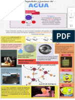 Infografia Propiedades y Funciones Del Agua PDF