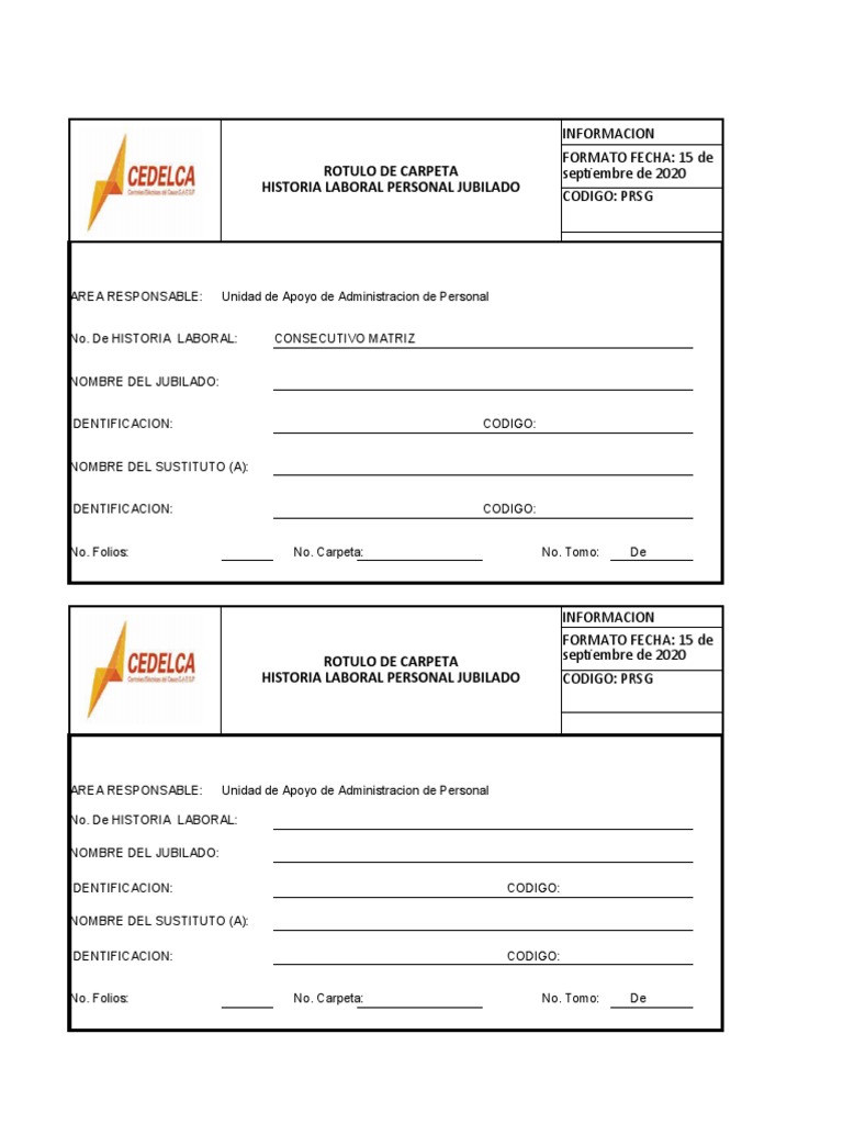 Formato Rotulo de Carpeta y Caja | PDF | Business