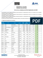 Reporte Hidrometrico PDF
