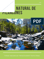 Parque Natural de Pilancones PDF
