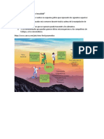 AA4-EV1. Esquema "Salud e Inocuidad"