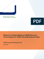 218EWGEffective Coalbed Methane CBM Recovery Technologies For APEC Developing Economies