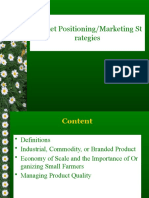 Market Positioning/Marketing ST Rategies