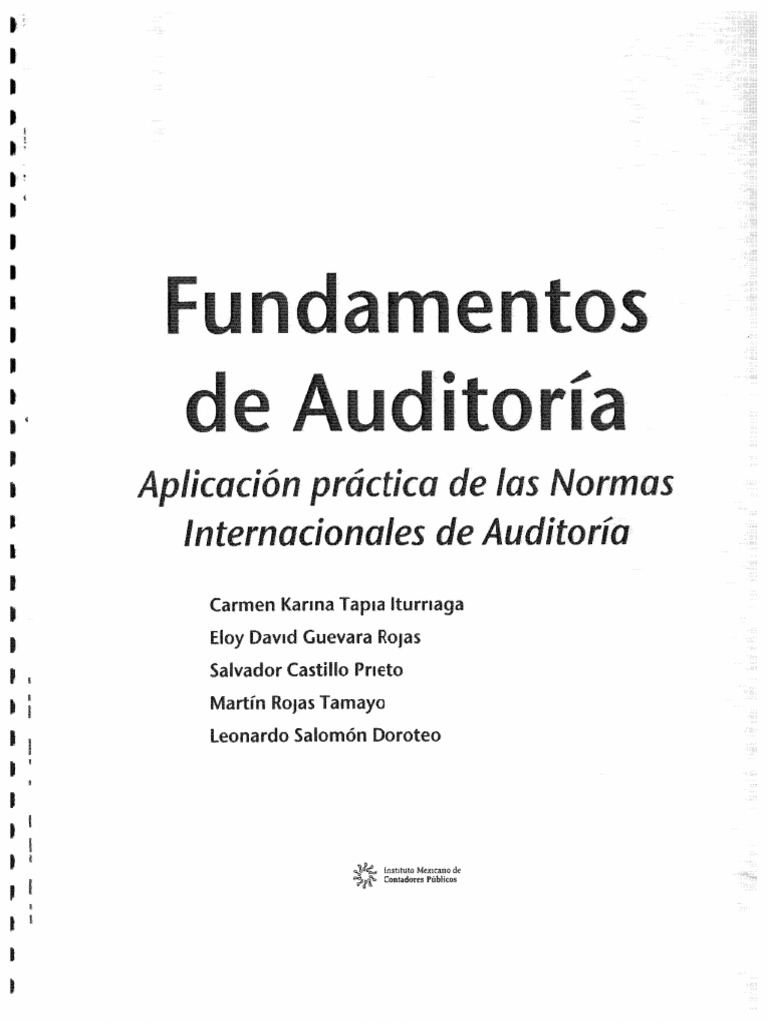 Fundamentos De La Auditoria Pdf Pdf