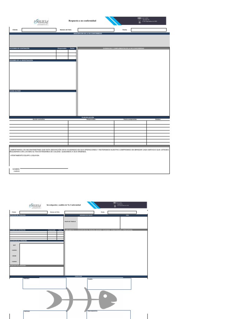 Formato 8d Pdf Business