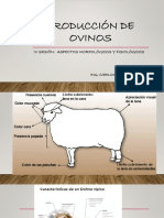 Sesión IV Aspectos Morfológicos y Fisiológicos en La Producción de Ovinos