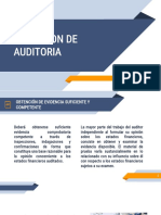 Ejecucion de Auditoria