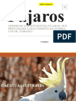 Los Pajaros