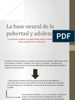 La Base Neural de La Pubertad y Adolescencia