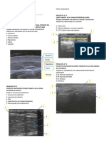 Guía práctica ultrasonografía músculos y tendones