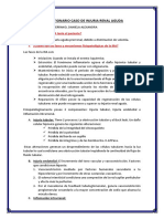 Caso Clinico Injuria Renal Aguda Daniela Muñoz