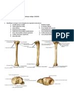 Taller Genicular Y Crural Sandra Patricia Rosero Envio PDF