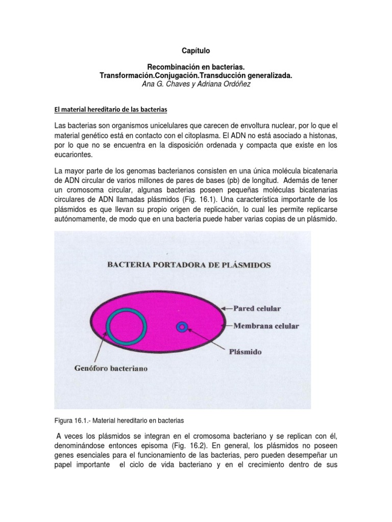 Polar - Crítica - POPOCA