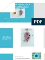 Entamoeba Histolytica & Entamoeba Coli