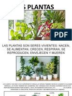 Las Plantas