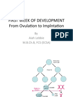 04 FIRST WEEK OF DEVELOPMENT.pptx