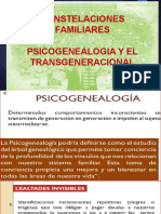 Constelaciones Familiares y Psicogenealogia y El Transgeneracional PDF