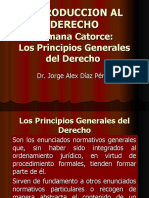 8. PRINCIPIOS GENERALES DEL Dº.ppt