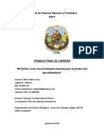 TESIS Mutti Lista PDF