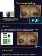 Glaucoma in Dog A Case Report-Dr. Jibachha Sah