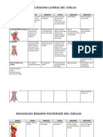 Musculosdelcuello