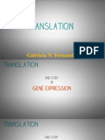 DNA Translation - Gabriela N. Fernandez.pptx