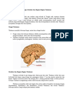 Pengertian Thalamus