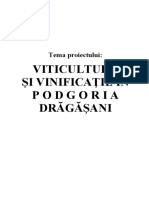 Viticultură Şi Vinificaţie În Podgoria Drăgăşani: Tema Proiectului