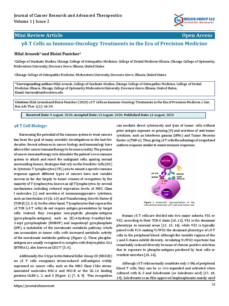 γδ T Cells as ImmunoOncology Treatments in the Era of Precision MedicineHarnessing the