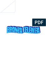 Branza Telemea REFERAT