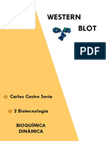 TÉCNICA WESTERN BLOT.pdf