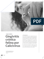 Gingivitis crónica felina por Calicivirus: caso clínico y tratamiento