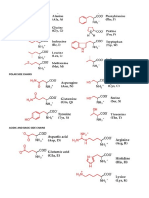 Protein Amino Acid Structures PDF