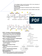 _ Glycolysis and CItric Acid Cycle.pdf