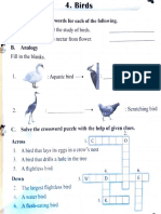 Birds Revision PDF