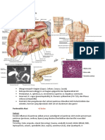 Pankreatitis Akut Dan Kronik - Theresia