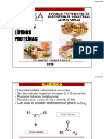 Glucidos Lipidos Proteinas Acidos Nucleico PDF